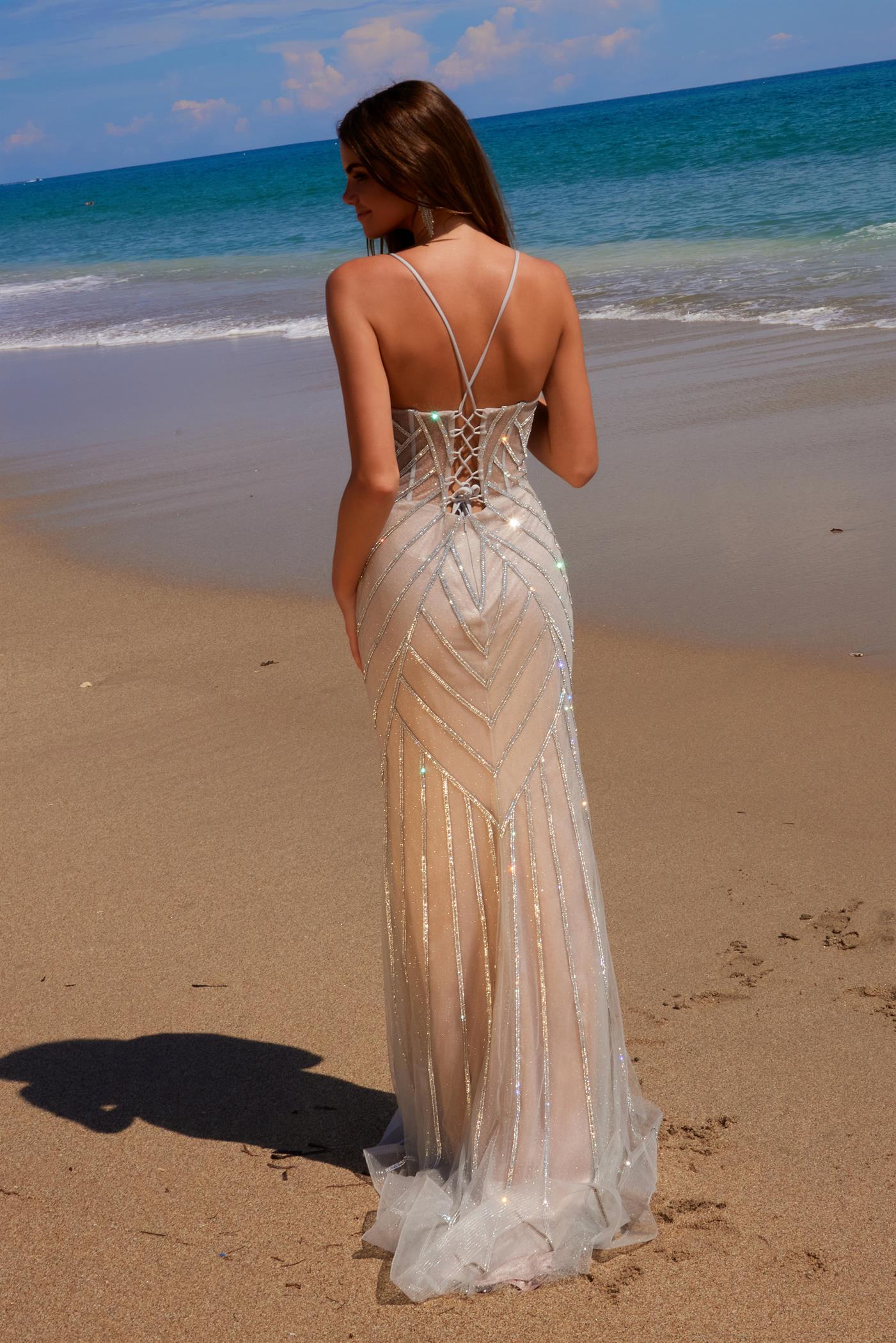 Applique Tulle Gown Lace-Up Back Dress — Nox Anabel C1632