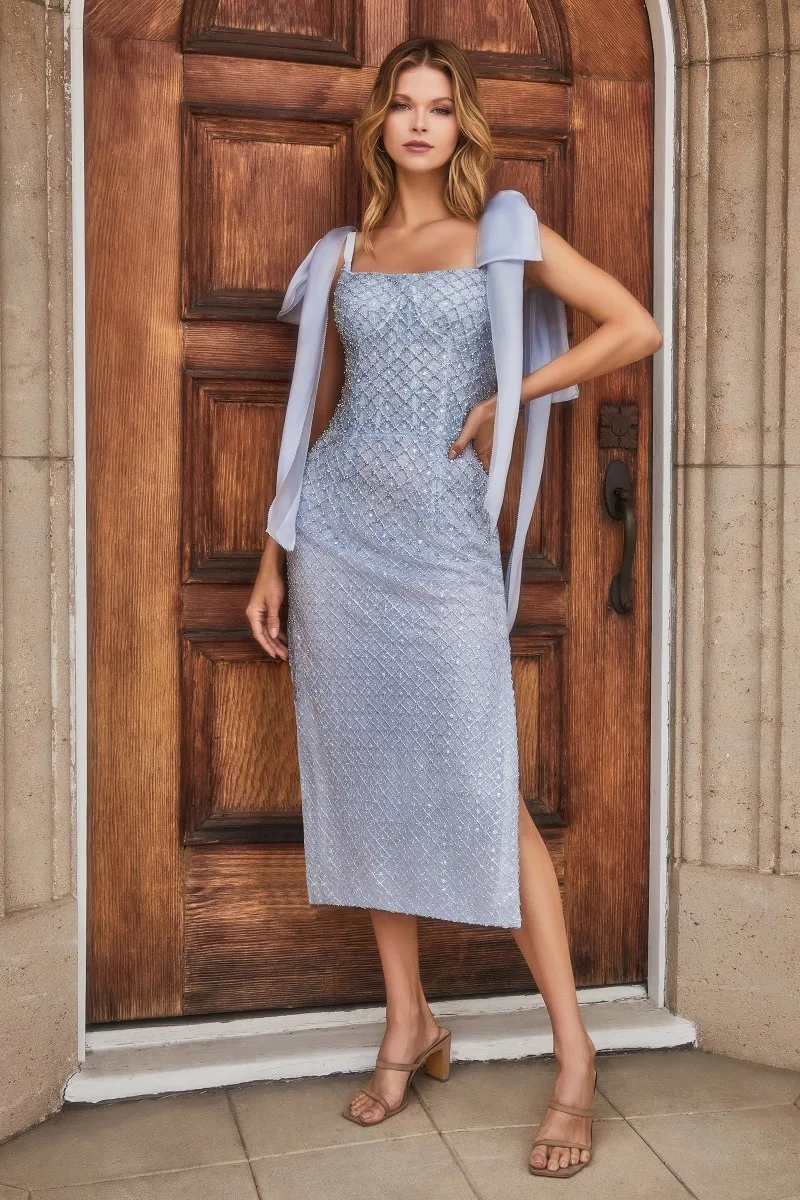 Andrea & Leo A1110 Dress — PARISBLUE