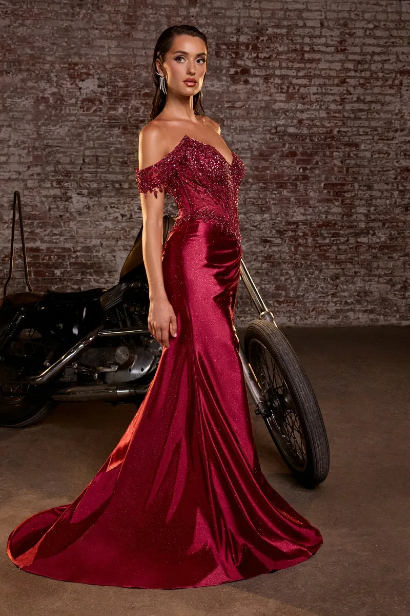 Ladivine CC456 Dress — WINE