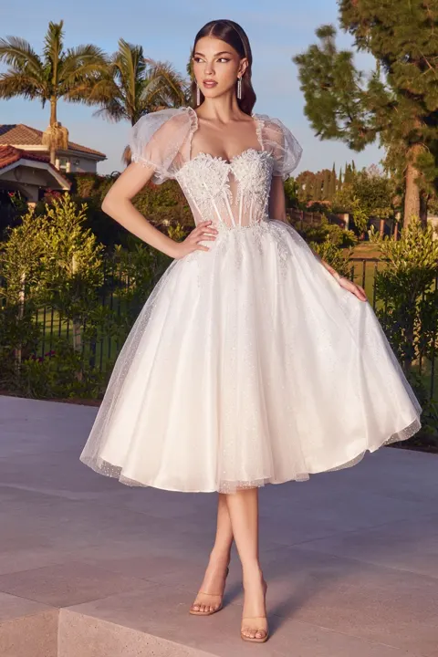 Ladivine CD0187W Dress