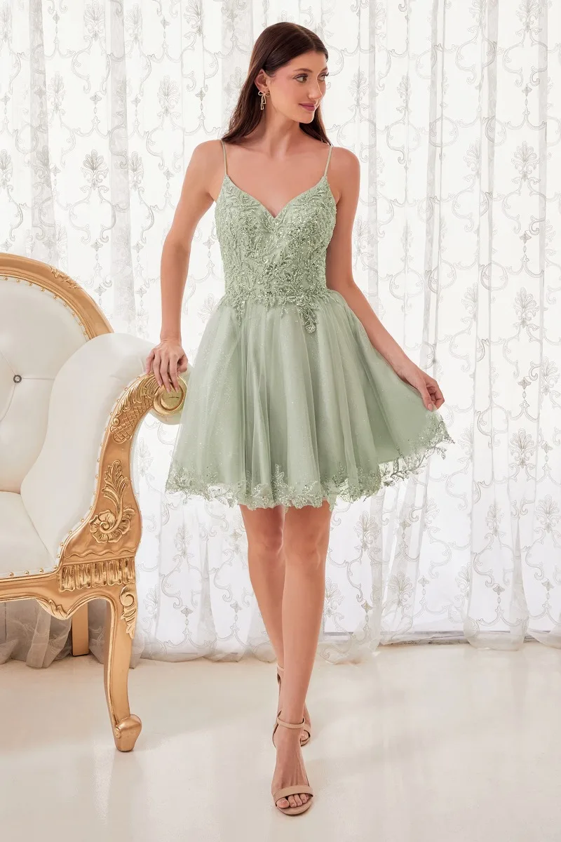 Ladivine CD0213 Dress — SAGE 3 REVISED