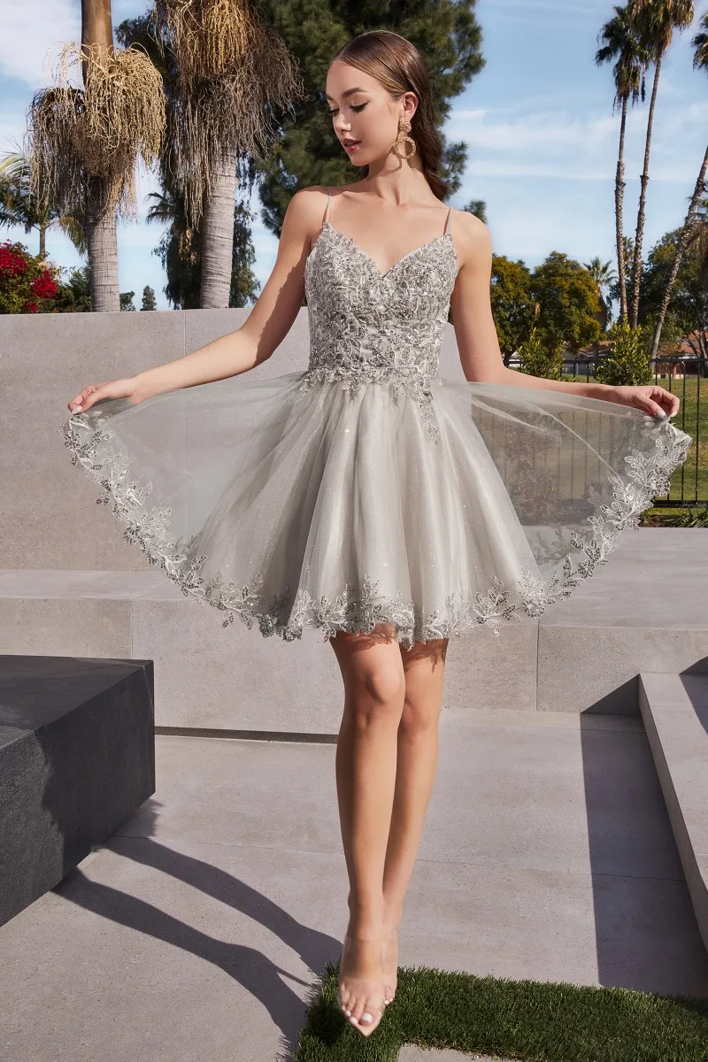 Ladivine CD0213 Dress — SILVER