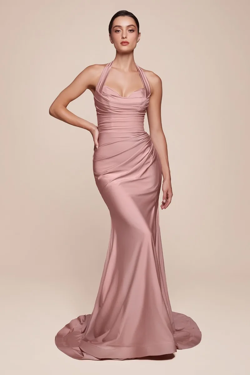 Ladivine CD796 Dress — DUSTY ROSE