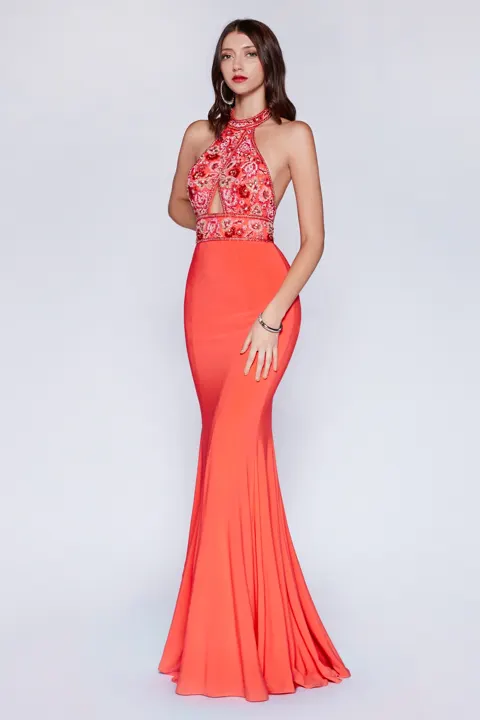 Ladivine Collective CR770 Dress
