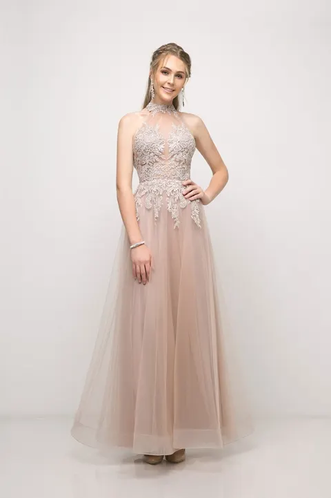Ladivine Collective UT252 Dress