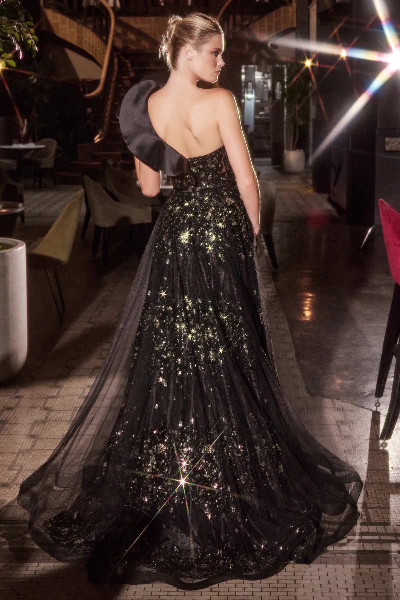 Ladivine CB157 Dress in Black — back view