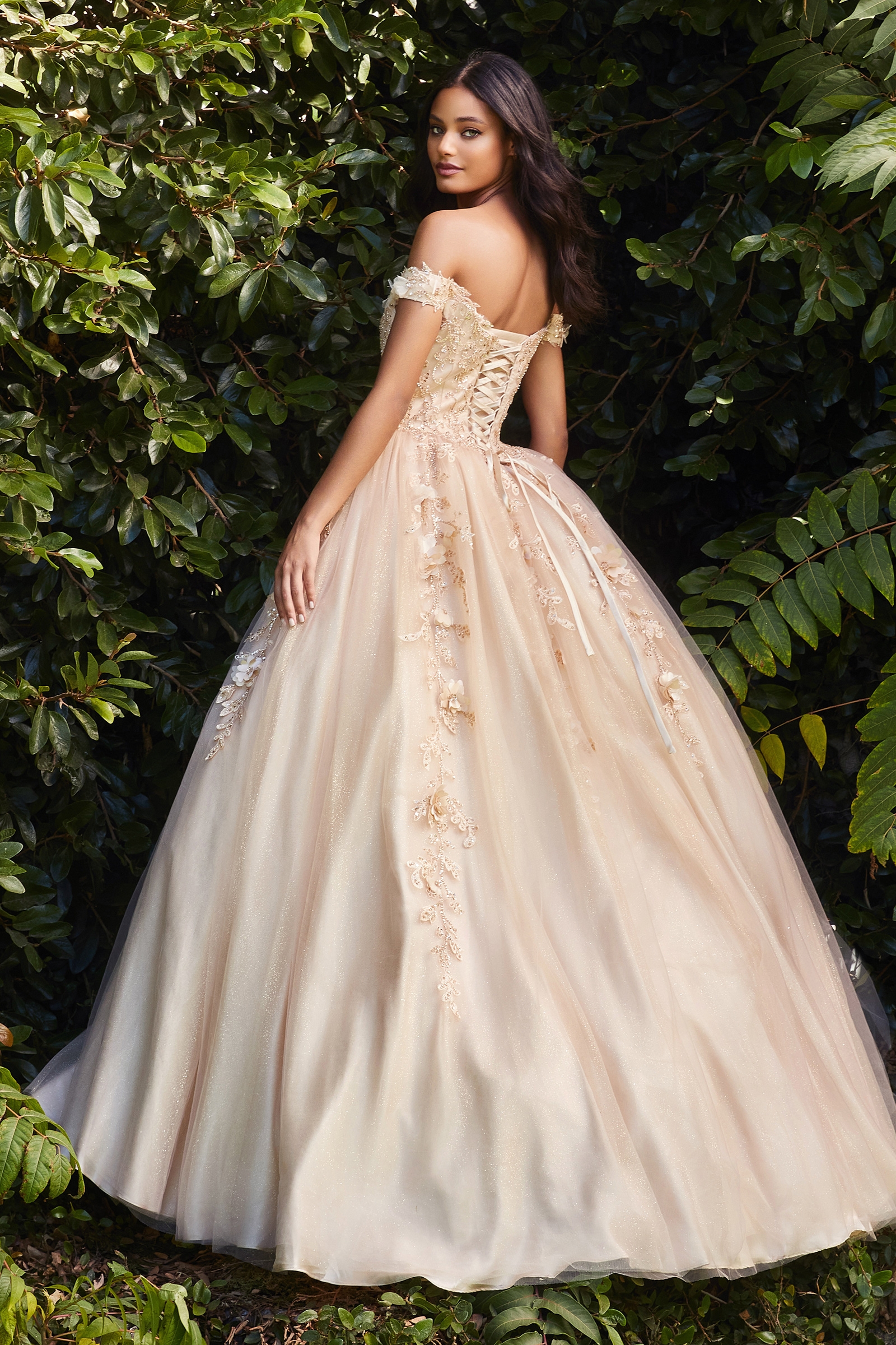 Ladivine CD0185 Dress in Champagne