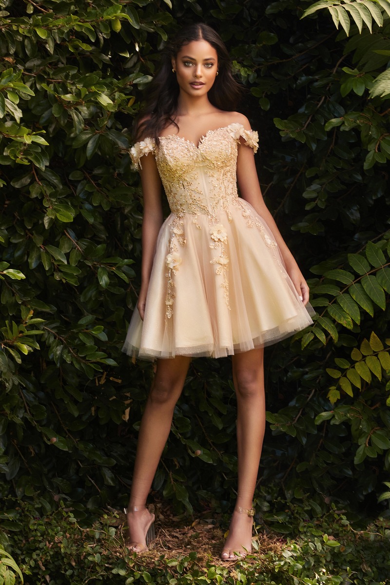 Ladivine CD0194 Dress in Champagne