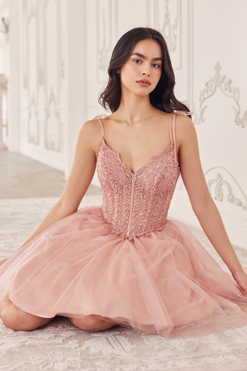 Ladivine CD0236 Dress in Blush
