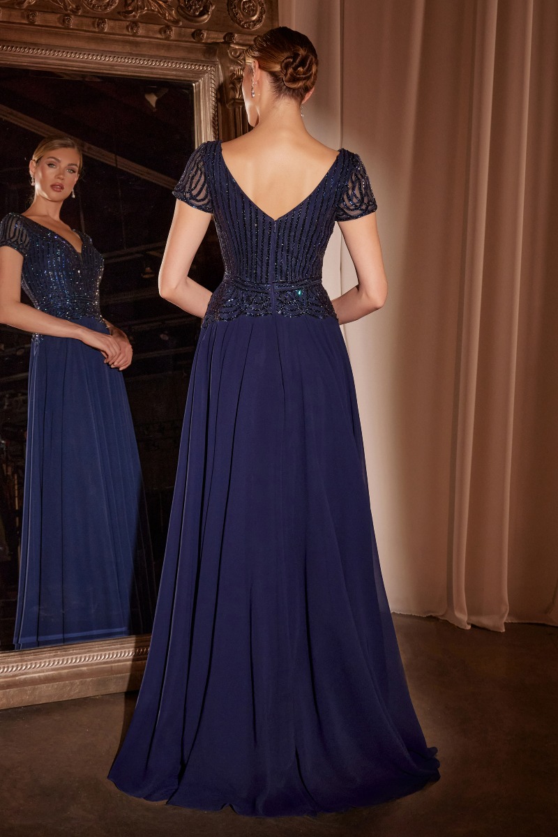 Ladivine CL07 Dress in Navy — back view