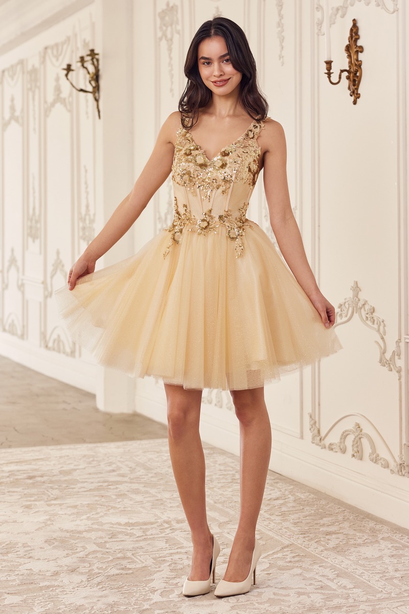Ladivine CY019 Dress in Champagne