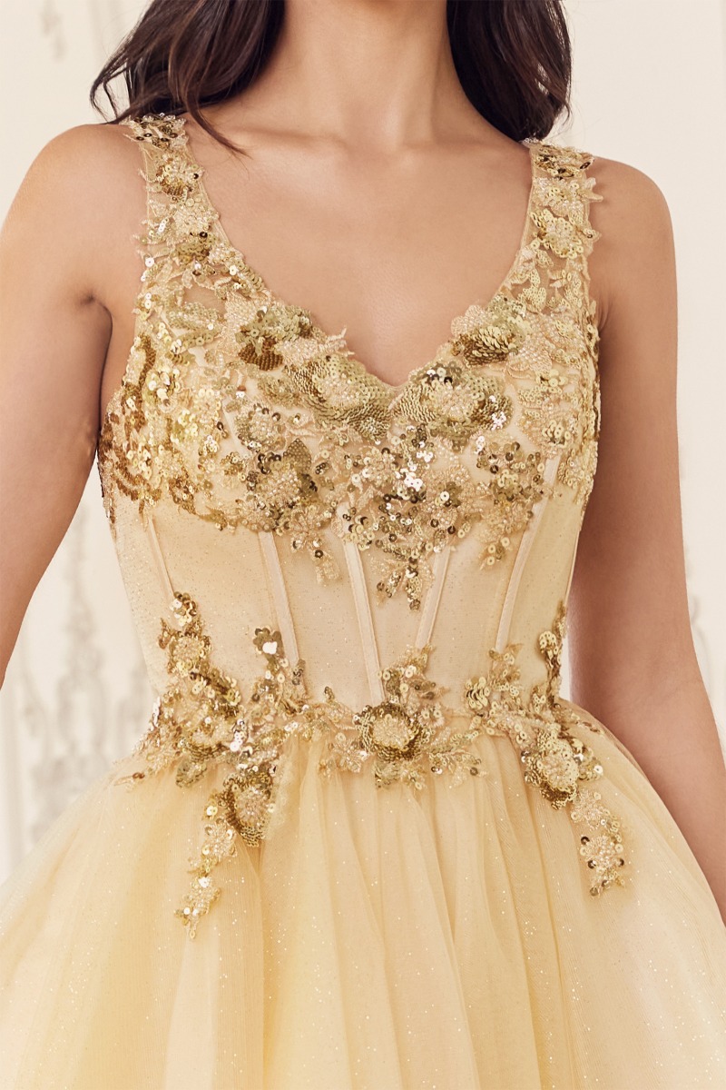Ladivine CY019 Dress in Champagne