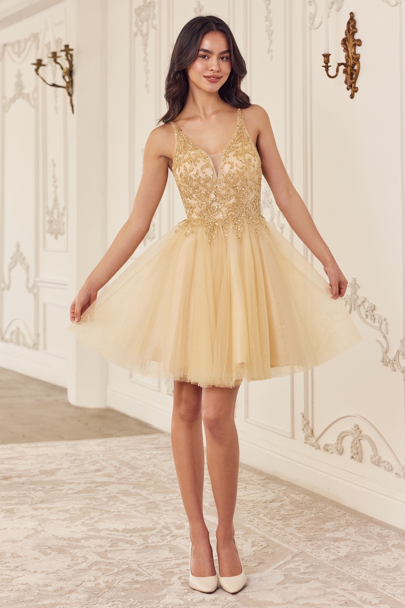 Ladivine CY022 Dress in Champagne